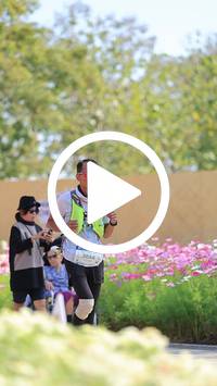 BIB:  <button type="button" onclick="openModal(27584775)" class="btn btn-primary btn-sm float-right" data-toggle="modal" data-target=".modal-high-quality">
                <i class="fa fa-download"></i> Download
                </button>